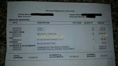 The Ugly Meter/Hospital Bill for Holding Newborn 